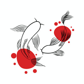 hand drawn outline Koi fish vector design line art illustration 