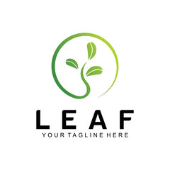 oak leaf logo vector design template