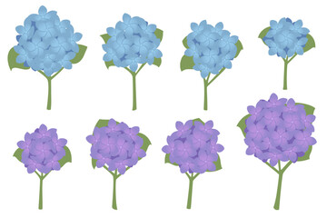 Set of hydrangea flowers with green stem and leaves vector illustration isolated on white background