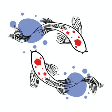 hand drawn outline Koi fish vector design line art illustration 