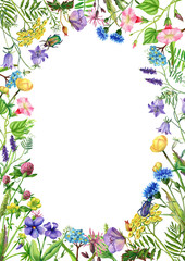 Watercolor illustration, rectangular frame of wildflowers.