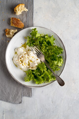 Fresh vegetables lattuce with mozzarella cheese.
