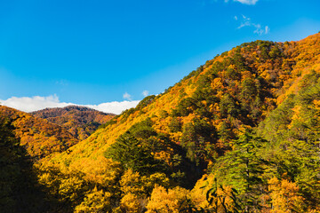 紅葉の瀬戸合渓