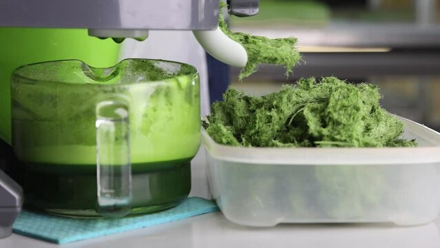 Electric juicer squeezes healthy juice from wheat germ. Extraction of wheatgrass and cake juice using a juicer. Squeezing healthy juice from raw micro-greenery close-up