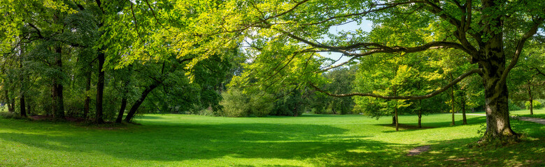 Fototapeta na wymiar Ein Schattenplatz unter Laubbäumen im englischen Garten in München mit Wiese Lichtung und den ausladenden Ästen eines Laubbaums