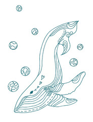illustration of a whale