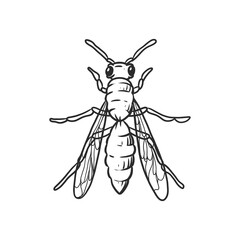 bee Insects and bug illustration on isolated background