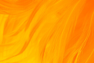yellow orange feather texture pattern background