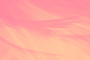 Beautiful yellow pink feather pattern texture background