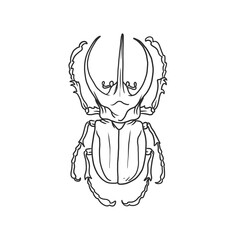 horned beetle Insects and bug illustration