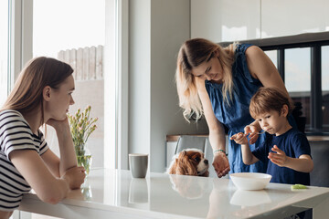 Two calm and disappointed women and little sad boy, refusing food sit with dog in kitchen. Picky...