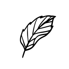  floral illustration in vintage style design