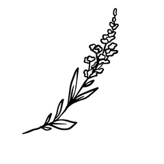  floral illustration in vintage style design