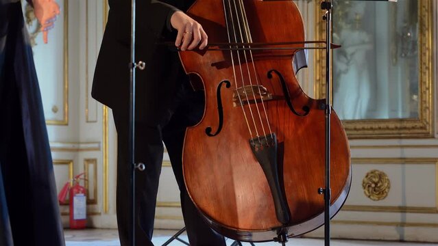 Playing the baroque double bass with a bow.
