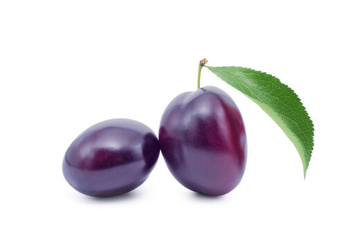 Two ripe dark purple plums with leaf isolated on white background