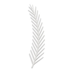 Realistic white curved pine branch with small needles decorative design of winter and frost vector