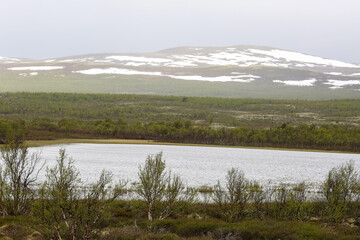 Foggy day in the Fokstumyra Nature Reserve , Norway