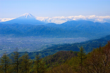 Fototapeta premium Mt. Fuji in autumn_4