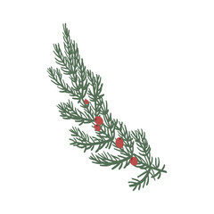 Fototapeta na wymiar Pine leaves and flowers are hand drawn into wreaths in an isolated background. Design elements for christmas design decorations