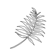  floral illustration in vintage style design