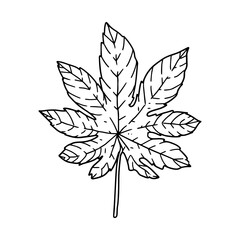  floral illustration in vintage style design