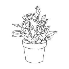 house plant illustration