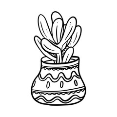 house plant and flower in pots hand drawn illustration