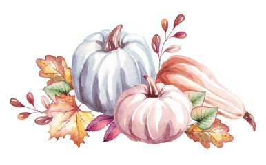 Pumpkins. Watercolor clipart