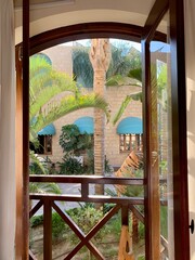 view from the window to the tropical garden 