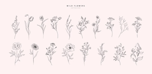 Set of luxury flowers and logo. Trendy botanical elements. Hand drawn line leaves branches and blooming. Wedding elegant wildflowers for invitation save the date card. Vector © merfin