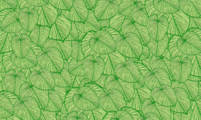 Fototapeta na wymiar green tropical leaves pattern abstract spring nature wallpaper design background
