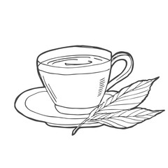 Cup of tea with tea leaf hand drawn outline doodle icon. Hot drink - tea cup vector sketch illustration for print, web, mobile and infographics isolated on white background.