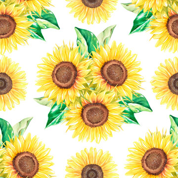 Sunflowers seamless pattern. Watercolor illustration. Isolated on a white background.