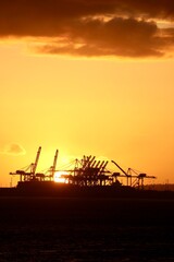 Fototapeta na wymiar Oil Rig Silhouette in Long Beach at sunset