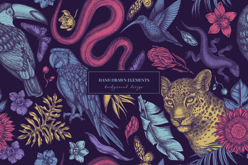 Tropical animals seamless pattern background design. Engraved style. Hand drawn leopard, snake, lizard, hummingbird, toucan, scarlet macaw, rajah brooke's birdwing, african giant swallowtail, monstera