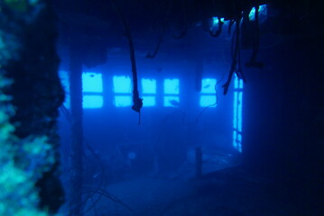 The Seatiger shipwreck when SCUBA diving off of Oahu. Wreck diving adventures with Oahu Diving, your wreck dive specialist.