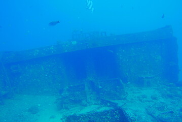 Naklejka na ściany i meble The Seatiger shipwreck when SCUBA diving off of Oahu. Wreck diving adventures with Oahu Diving, your wreck dive specialist.