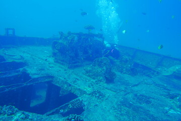 Naklejka na ściany i meble The Seatiger shipwreck when SCUBA diving off of Oahu. Wreck diving adventures with Oahu Diving, your wreck dive specialist.