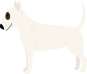 bull terrier