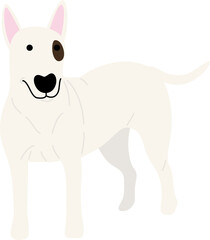 bull terrier