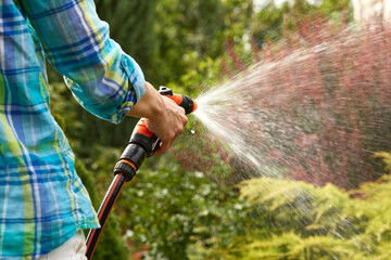 woman watering plant in garden in summer