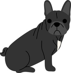French bulldog illustration