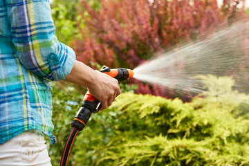 woman watering plant in garden in summer