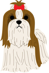 Shih Tzu illustration