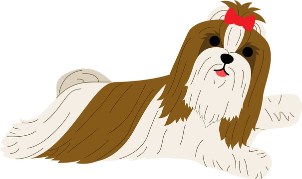 Shih Tzu Illustration