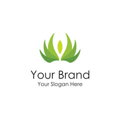 animation Bird logo design vector template