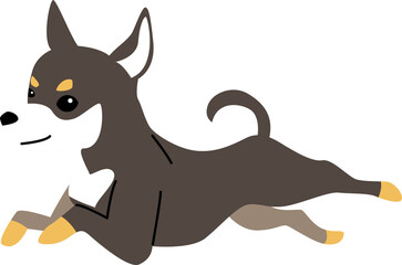 chihuahua illustration
