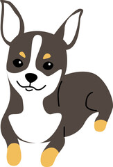 chihuahua illustration