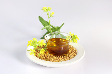 mustard oil, seed and flower on dish on white background. useful in cooking and external body care....
