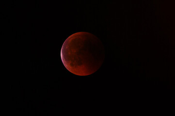 Fototapeta premium Luna Rossa